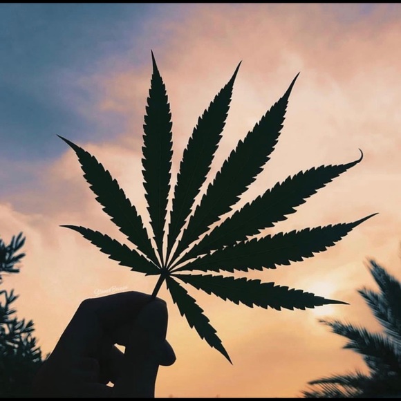 Meet your Posher, Monica - Picture 5 of 7